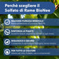 Solfato di Rame | Concime Inorganico Puro 98/99% | Rame Solubile 25% | Uso Agricolo e Biologico | Residuo Zero | Rame Pentaidrato per Orto e Giardino 500 gr