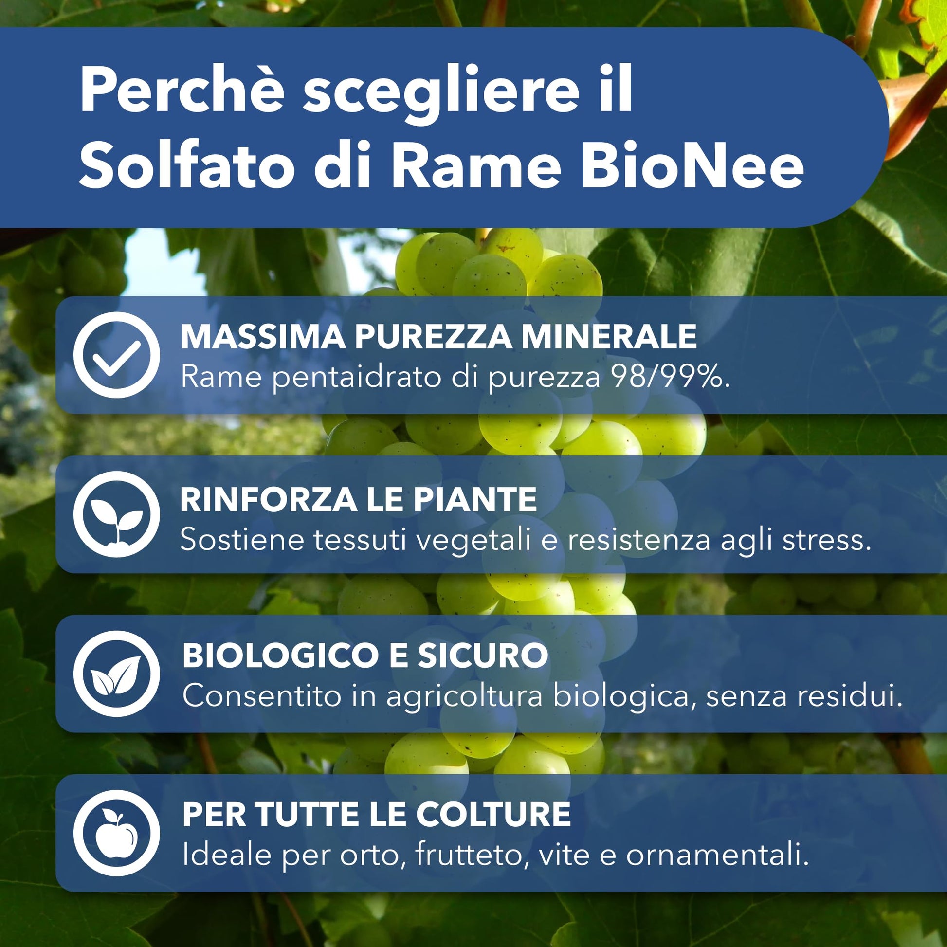 Solfato di Rame | Concime Inorganico Puro 98/99% | Rame Solubile 25% | Uso Agricolo e Biologico | Residuo Zero | Rame Pentaidrato per Orto e Giardino 500 gr
