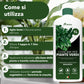 BioNee Concime Biologico per Piante Verdi 1L – Nutrimento Naturale per Foglie Lucide e Colori Intensi | Stimola Crescita e Vitalità delle Piante da Interno ed Esterno