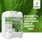 Estratto di Equiseto | Prodotto Naturale Concentrato Idrosolubile | Azione Fungicida Preventiva | Per Orto, Frutteto e Colture Biologiche (5 litri)