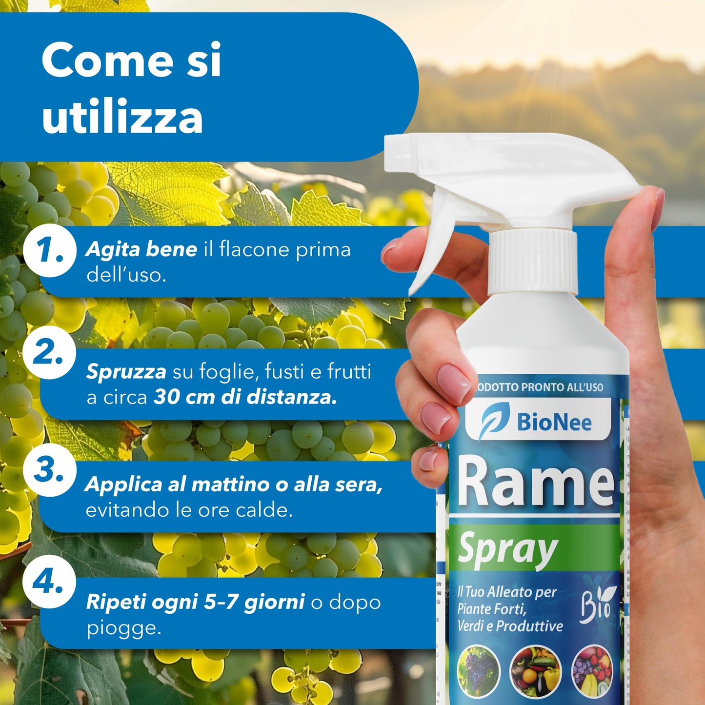 Rame Spray 500 ml – Trattamento naturale pronto all’uso per piante ornamentali, da frutto, orto e giardino – Con rame, caolino e microelementi (ramespray)