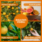 BioNee Concime per Agrumi Biologico 1L – Nutrimento Naturale per Limoni, Aranci e Mandarini | Rafforza le Radici, Esalta Aroma e Colore dei Frutti | Consentito in Agricoltura Biologica