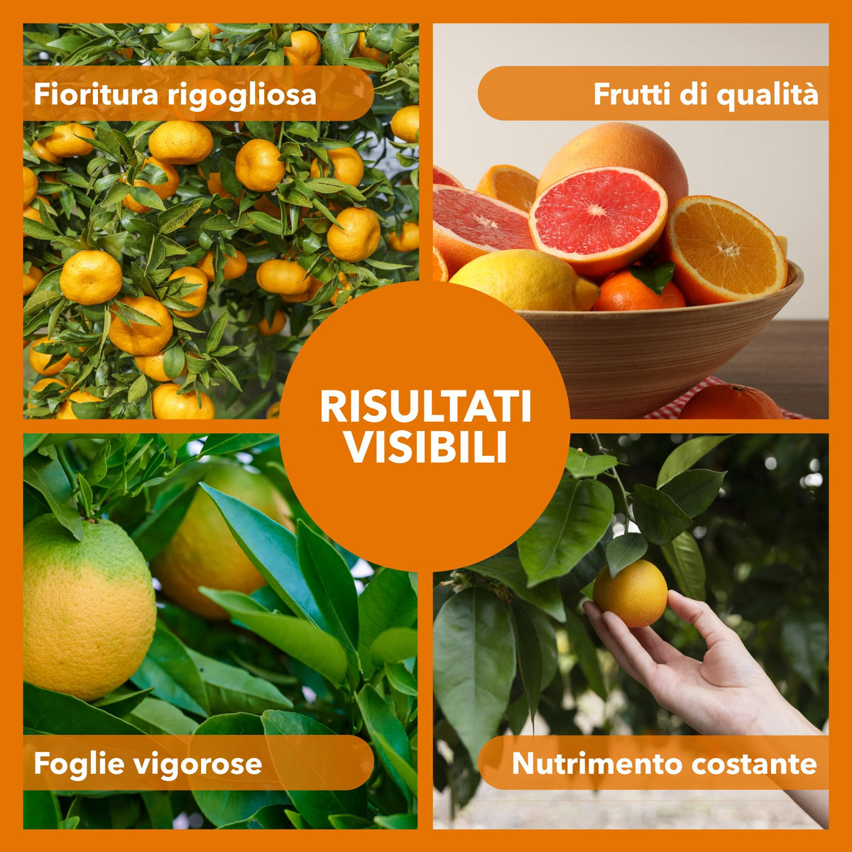 BioNee Concime per Agrumi Biologico 1L – Nutrimento Naturale per Limoni, Aranci e Mandarini | Rafforza le Radici, Esalta Aroma e Colore dei Frutti | Consentito in Agricoltura Biologica