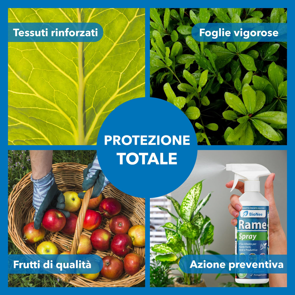 Rame Spray 500 ml – Trattamento naturale pronto all’uso per piante ornamentali, da frutto, orto e giardino – Con rame, caolino e microelementi (ramespray)