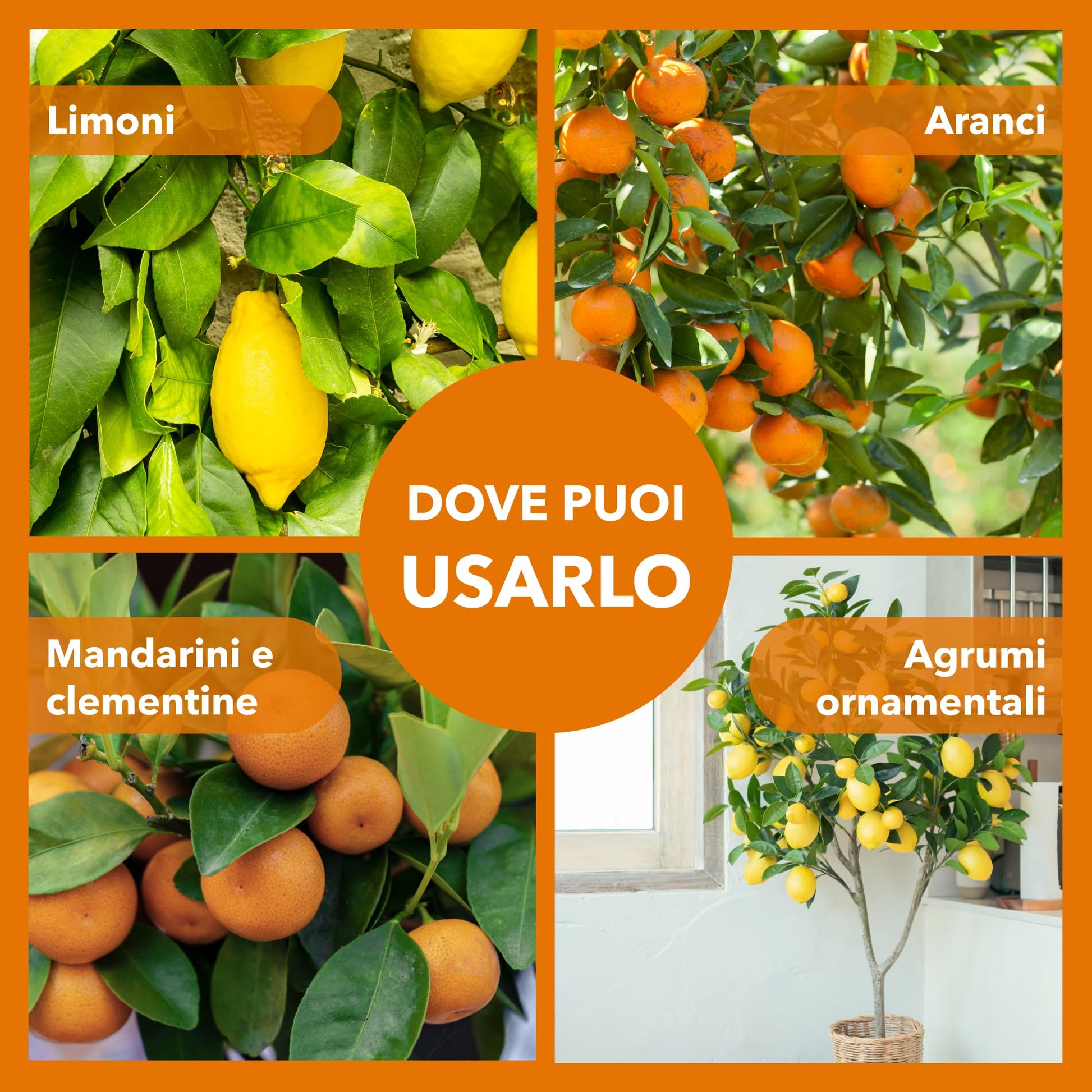 BioNee Concime per Agrumi Biologico 1L – Nutrimento Naturale per Limoni, Aranci e Mandarini | Rafforza le Radici, Esalta Aroma e Colore dei Frutti | Consentito in Agricoltura Biologica