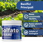 Solfato di Rame | Concime Inorganico Puro 98/99% | Rame Solubile 25% | Uso Agricolo e Biologico | Residuo Zero | Rame Pentaidrato per Orto e Giardino 500 gr