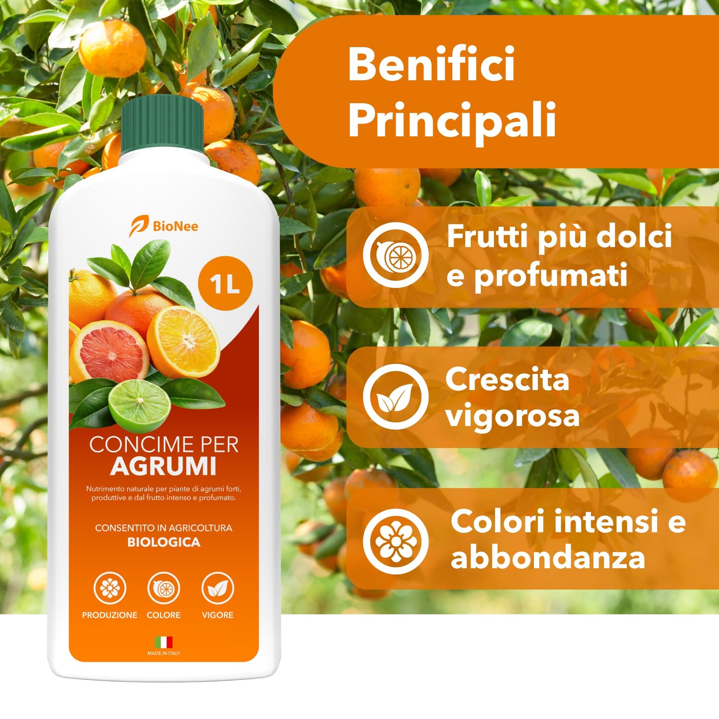 BioNee Concime per Agrumi Biologico 1L – Nutrimento Naturale per Limoni, Aranci e Mandarini | Rafforza le Radici, Esalta Aroma e Colore dei Frutti | Consentito in Agricoltura Biologica