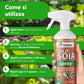 BioNee Olio Bianco di Soia Spray 1l – Protettivo Naturale per Piante, Rinforzante e Lucidante Fogliare – Pronto all’Uso