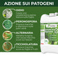 Estratto di Equiseto | Prodotto Naturale Concentrato Idrosolubile | Azione Fungicida Preventiva | Per Orto, Frutteto e Colture Biologiche (5 litri)