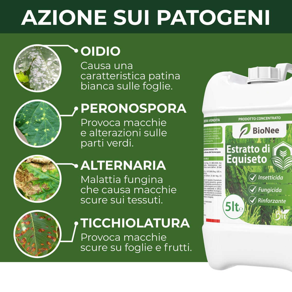 Estratto di Equiseto | Prodotto Naturale Concentrato Idrosolubile | Azione Fungicida Preventiva | Per Orto, Frutteto e Colture Biologiche (5 litri)