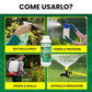 Olio di Neem - insetticida naturale Concentrato - biologico solubile in acqua (1 litro)