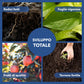 Solfato di Rame | Concime Inorganico Puro 98/99% | Rame Solubile 25% | Uso Agricolo e Biologico | Residuo Zero | Rame Pentaidrato per Orto e Giardino 500 gr