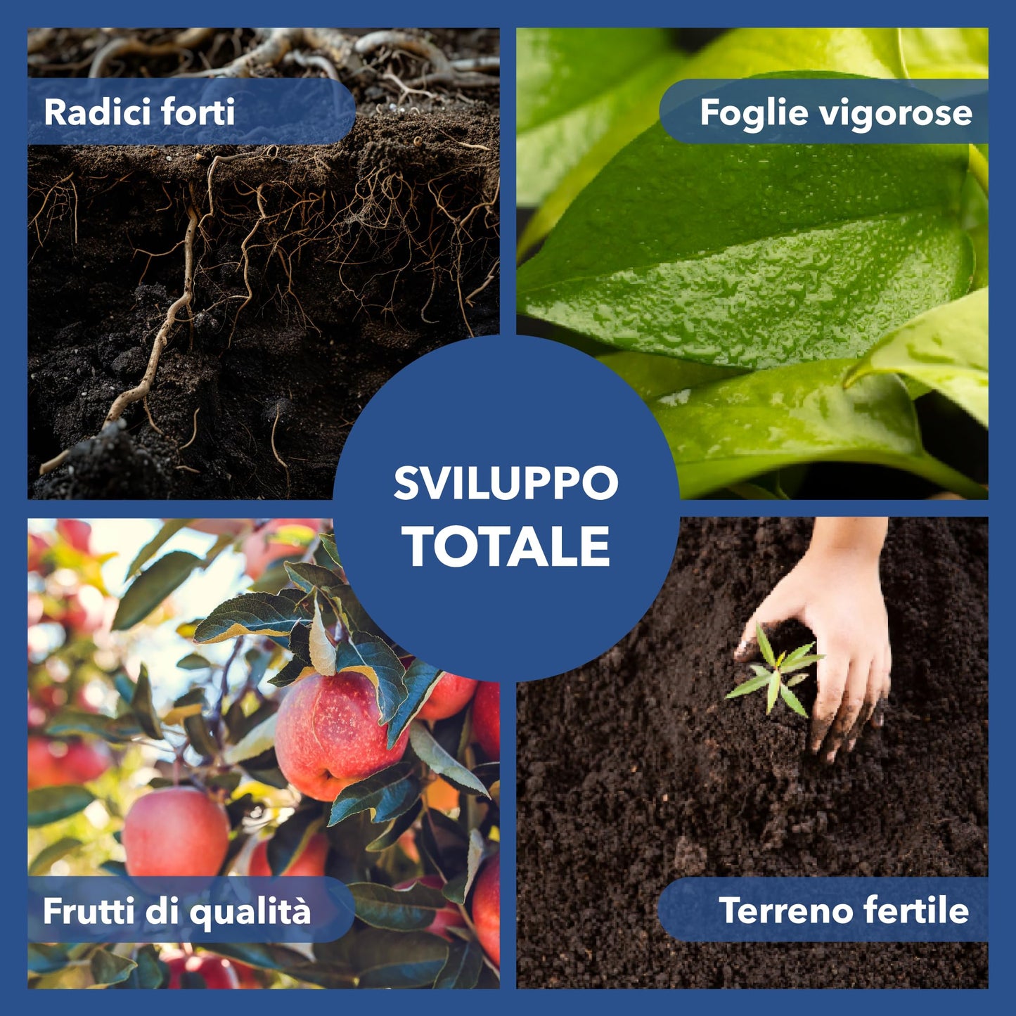 Solfato di Rame | Concime Inorganico Puro 98/99% | Rame Solubile 25% | Uso Agricolo e Biologico | Residuo Zero | Rame Pentaidrato per Orto e Giardino 500 gr