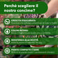 BioNee Concime Biologico per Piante Grasse 1L – Nutrimento Naturale per Cactus e Succulente | Favorisce Colori Intensi, Foglie Lucide e Crescita Armoniosa