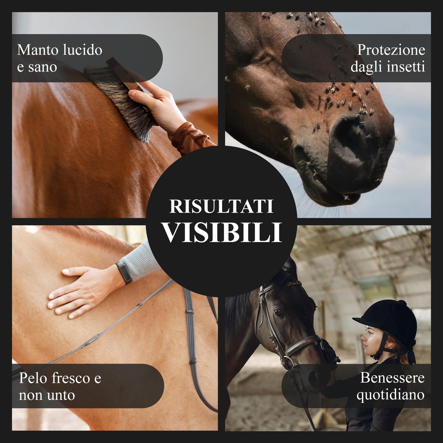 Bionee Olio di Neem Spray Cavalli 500 ml – Lozione Naturale Pronta all’Uso, Azione Protettiva contro Insetti e Parassiti, Non Unge, Delicato sul Manto, Idrosolubile