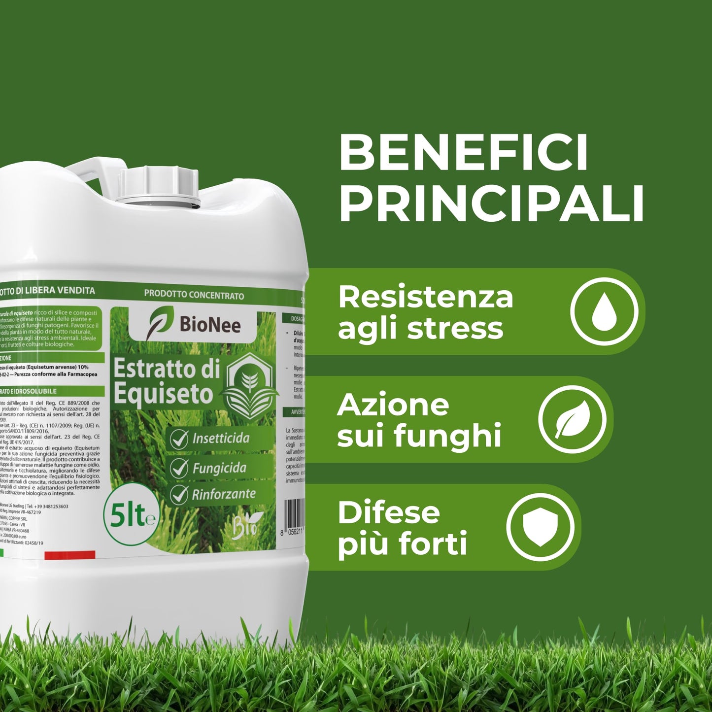 Estratto di Equiseto | Prodotto Naturale Concentrato Idrosolubile | Azione Fungicida Preventiva | Per Orto, Frutteto e Colture Biologiche (5 litri)