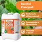 BioNee Olio di Soia Concentrato – Corroborante Naturale Vegetale per Piante Forti e Resistenti | Potenziatore delle Difese Naturali | Concentrato Idrosolubile (5 litri)