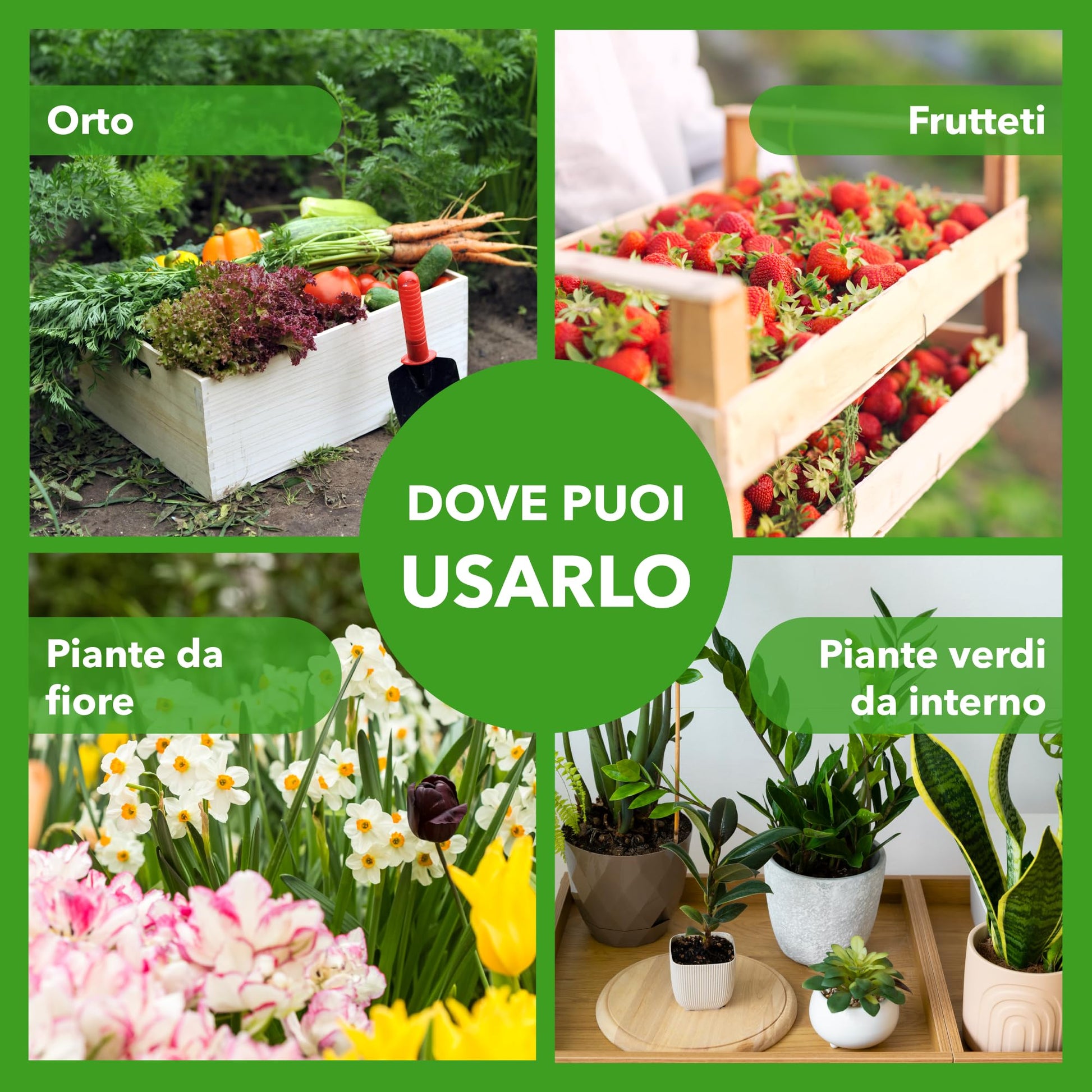 BioNee Concime Universale Biologico 1L – Nutrimento Naturale per Tutte le Piante | Crescita Equilibrata, Fertilità del Terreno e Colori più Vivi | Consentito in Agricoltura Biologica