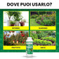 Olio di Neem - insetticida naturale Concentrato - biologico solubile in acqua (1 litro)