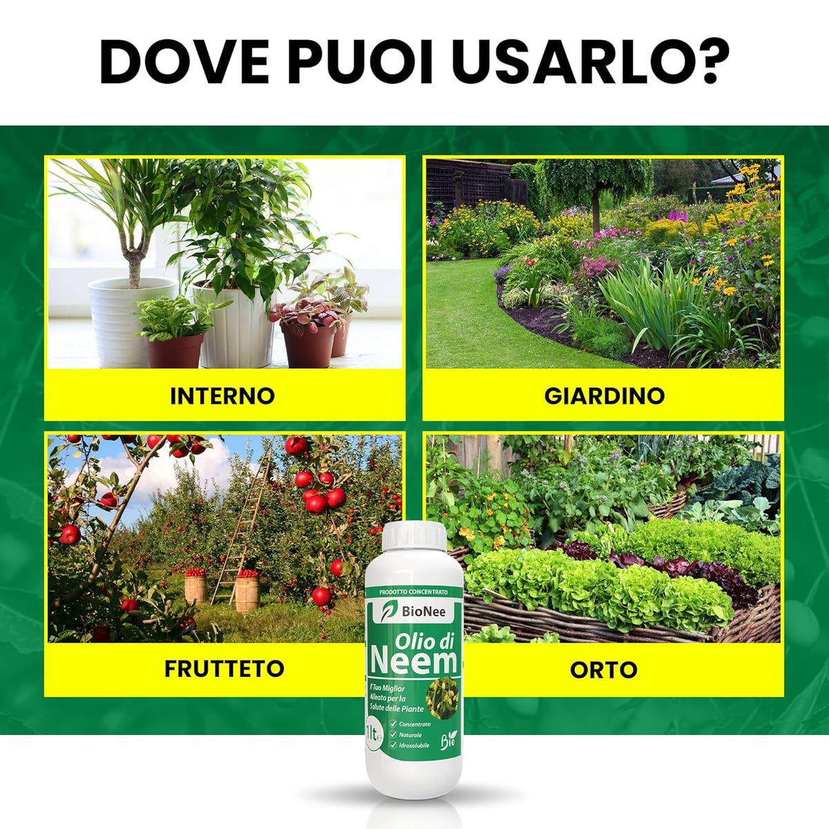 Olio di Neem - insetticida naturale Concentrato - biologico solubile in acqua (1 litro)