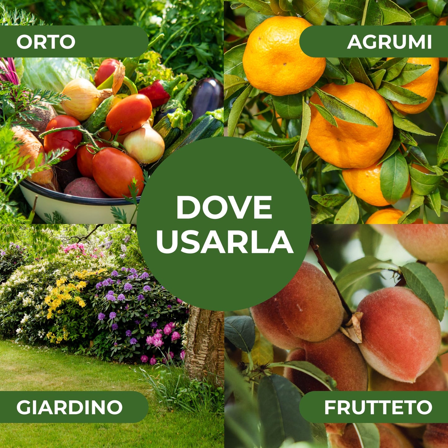 Estratto di Equiseto | Prodotto Naturale Concentrato Idrosolubile | Azione Fungicida Preventiva | Per Orto, Frutteto e Colture Biologiche (5 litri)