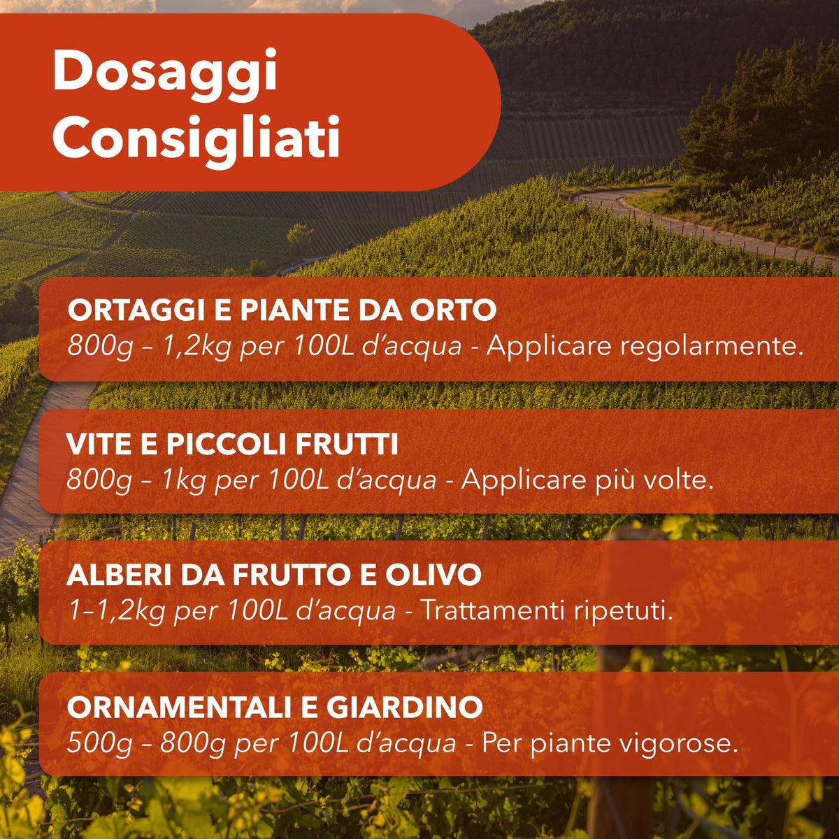 Bionee CalMicro 1 Kg – Concime a Base di Calcio Micronizzato con Rame, Manganese e Zinco | Rafforza i Tessuti Vegetali e Protegge da Stress Ambientali | Per Orto, Frutteto, Vite e Piante Ornamentali