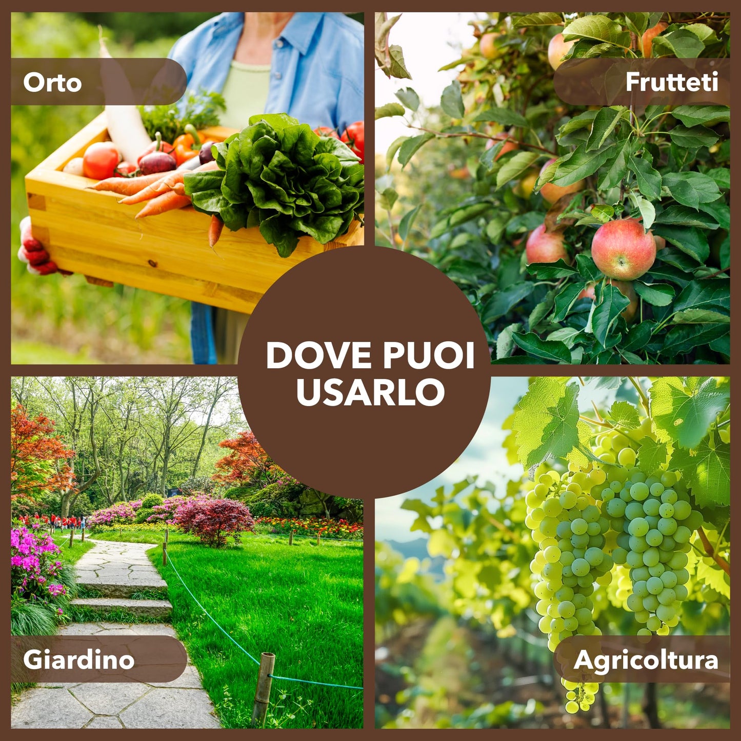 Concime Universale Organico Liquido – Ricco di Aminoacidi – Uso Radicale e Fogliare – Consentito in Agricoltura Biologica – Nutriente per Piante Vigorose (5 litri)