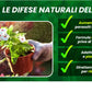 Insetticida Naturale per Piante 750 ml - A Base di Estratto Biologico di Ortica - Efficace Contro Cocciniglia, Afidi, Ragnetto Rosso e Pidocchi - Spray Verdecobre