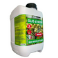 Olio di Neem - insetticida naturale biologico solubile in acqua - 5 litri
