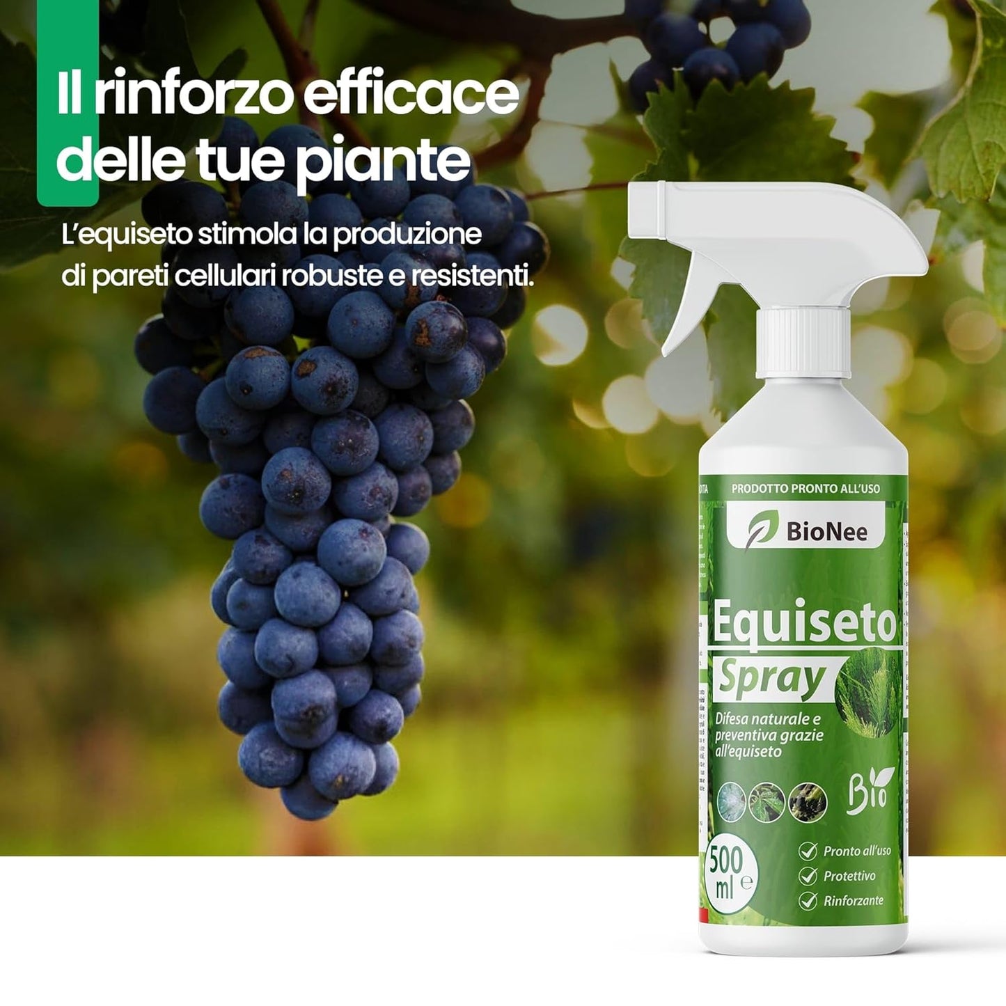 Equiseto Spray 500 Ml | Pronto All’Uso | Protettivo Naturale Preventivo | Difesa Contro Oidio E Peronospora | per Orti, Frutteti E Colture Biologiche
