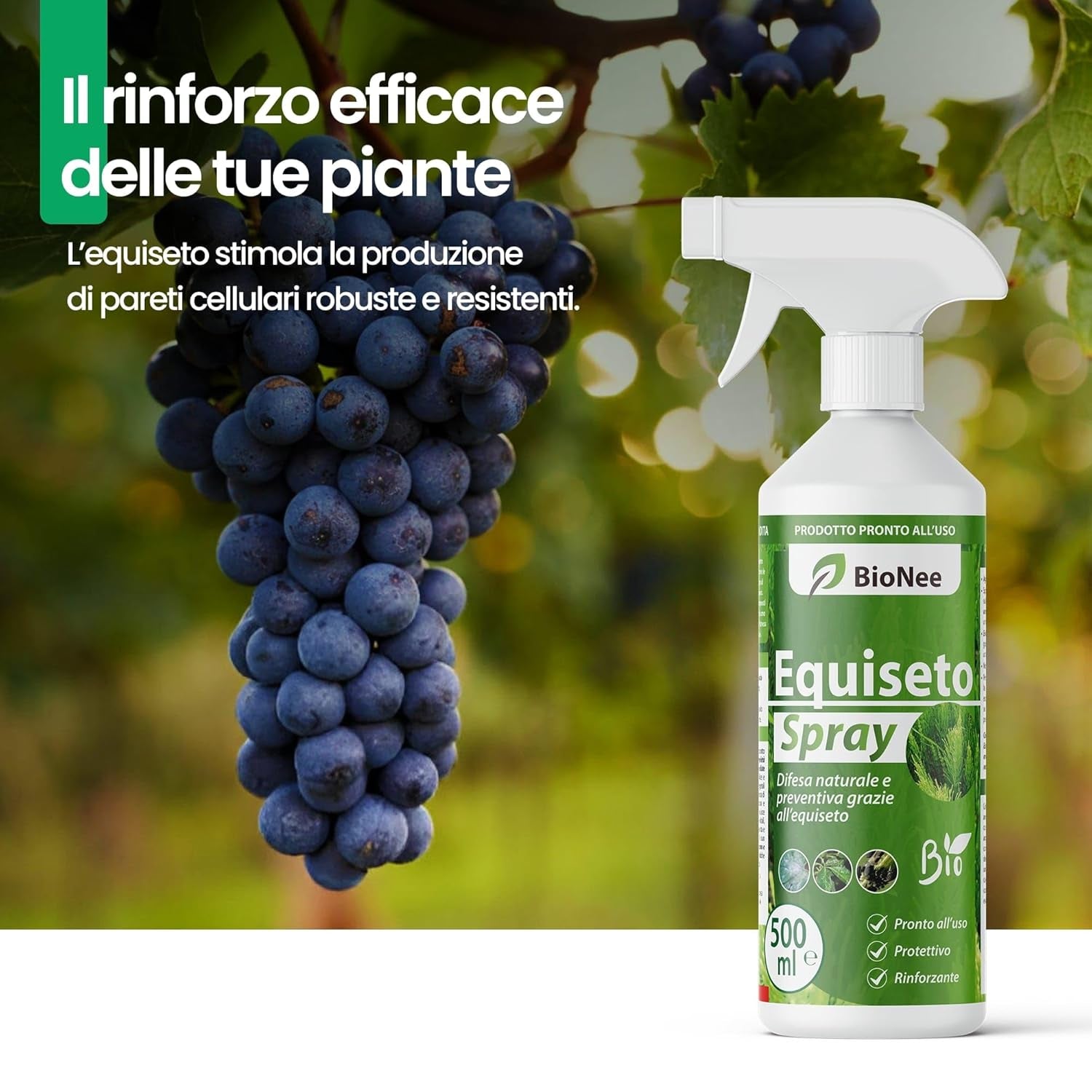 Equiseto Spray 500 Ml | Pronto All’Uso | Protettivo Naturale Preventivo | Difesa Contro Oidio E Peronospora | per Orti, Frutteti E Colture Biologiche
