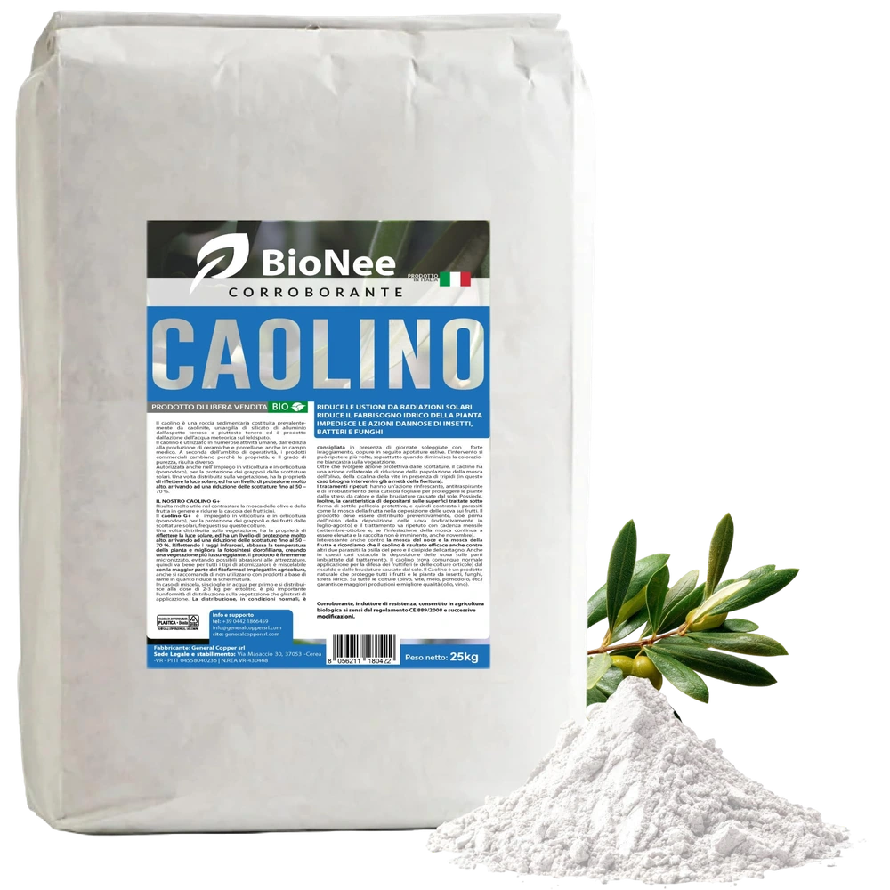 Caolino